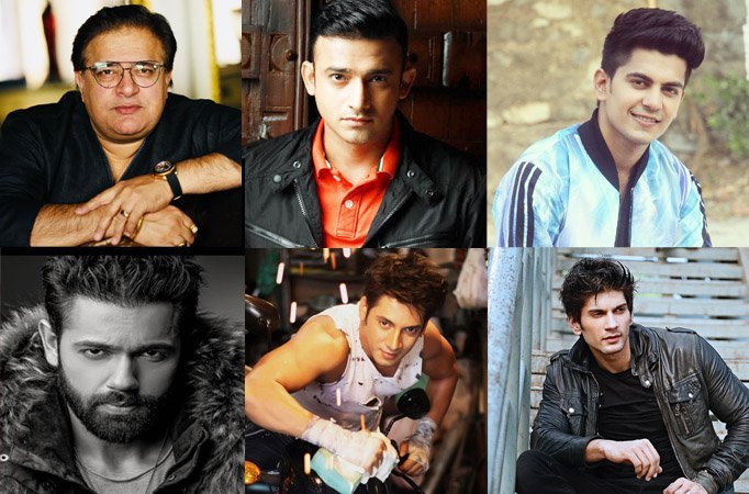 TV actors give their take on Bigg Boss season 12